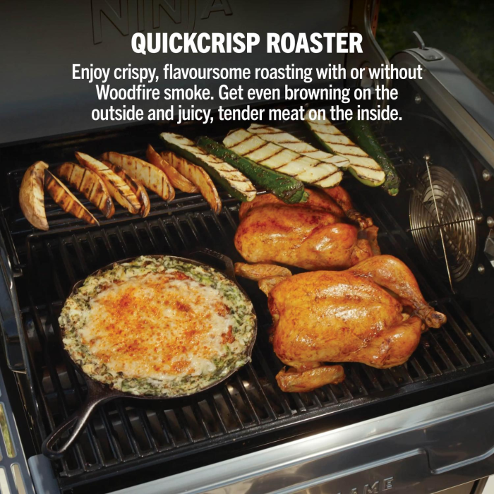 Ninja PG301UK FlexFlame Gas BBQ & Outdoor Cooking System