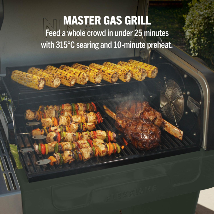Ninja PG301UK FlexFlame Gas BBQ & Outdoor Cooking System