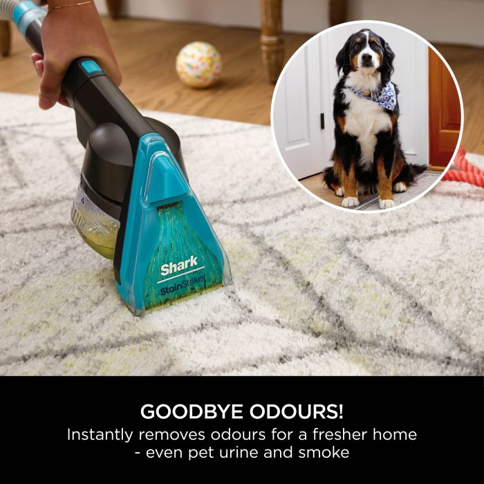 Shark CarpetXpert HairPro Pet Deep Carpet Cleaner with Built-In StainStriker - Charcoal & Fuchsia